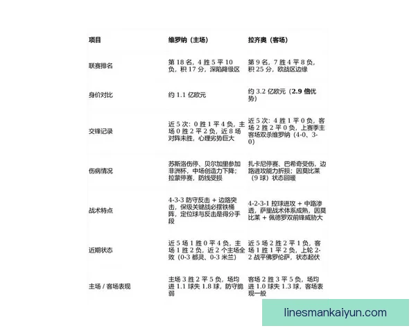 维罗纳转会策略分析：面对新赛季的挑战，球队将如何提升竞争力